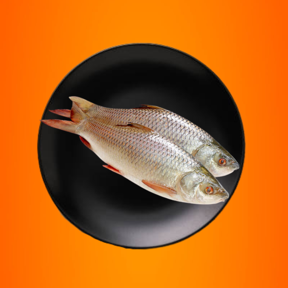 Rahu Fish (rohu)